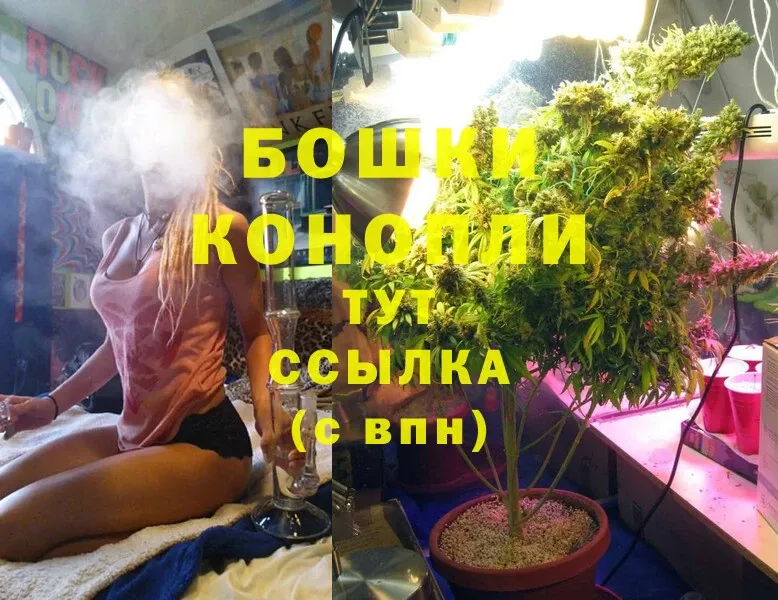 Бошки Шишки White Widow  Богородицк 